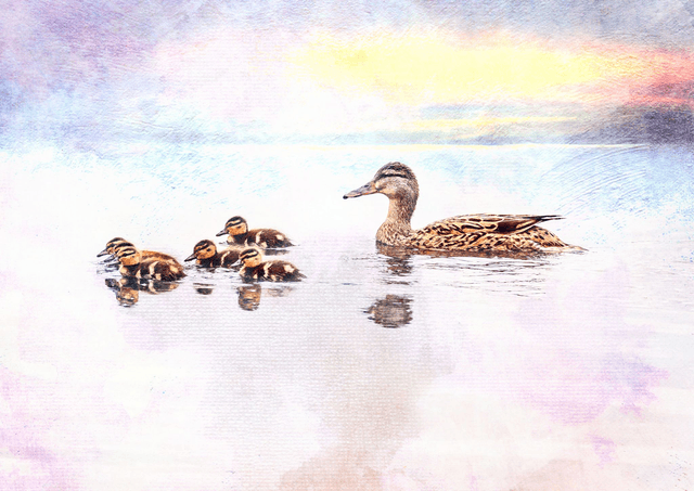 Mother Duck